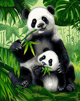 Панда мама и малыш обедают