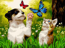 Красное вино и синий виноград