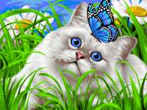 Белая кошечка и синяя бабочка