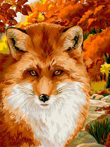 Пушистая лиса в осеннем лесу