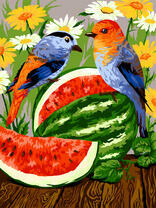 Птички кушают арбузик