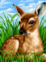 Олененок в летней траве