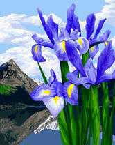 Цветы весны