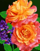 Цвета заката