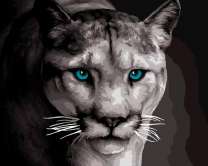 Львица на охоте