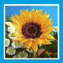 Яркий цветок подсолнуха