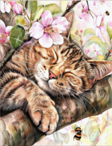 Алмазная вышивка «Волосатый котик спит на ветви яблони»