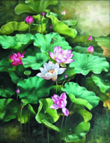 Нежные розовые лотосы