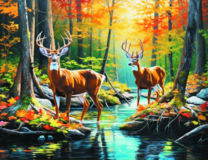 Два оленя в осеннем лесу у реки