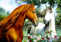 Две лошади у изгороди