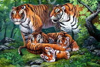 Тигры с детенышами
