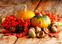 Осенний натюрморт с тыквами