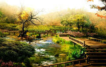 Мостики через реку