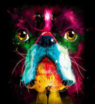 Мудрый мопс и вселенная