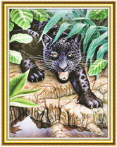 Чёрный леопард у водоёма