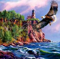 Белоголовый орлан на фоне замка на скале