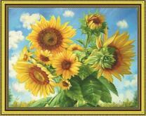 Цветущие подсолнухи на одном стебле