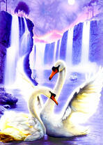 Лебеди в лунных лучах у водопадов