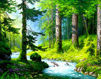 Бурный ручей в сосновом лесу