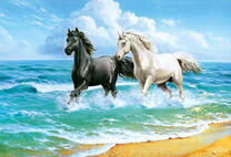 Черная и белая лошади на песчаном берегу