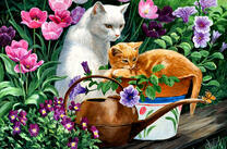 Белая кошка и рыжий котёнок в тюльпанах