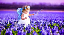 Маленькая фея на поле гиацинтов