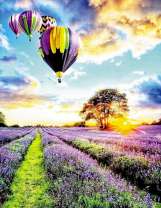 Воздушные шары над полем лаванды на рассвете