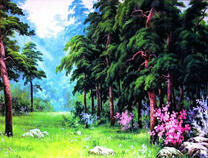 Просека в еловом лесу