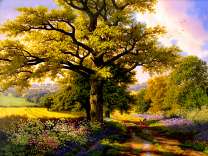 Большущее дерево