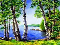 Вид на озеро сквозь березы