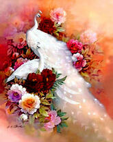 Белые павлины в красных и розовых цветах