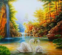 Пара лебедей на горном озере у водопада