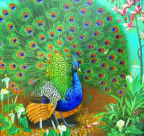 Павлин с большим хвостом