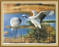 Пара журавлей на озере