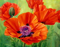 Маки и воздух