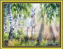 Белый конь в берёзовой роще