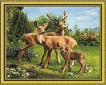 Семья небольших оленей на летней поляне