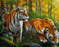 Пара тигров у водопоя