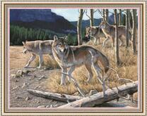 Стая волков вышла из леса