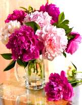 Пионы в ориганальной прозрачной вазе