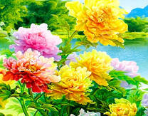 Красочные цветы у озера