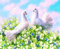 Влюбленные голуби на цветах