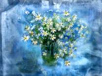 Букет полевых ромашек в прозрачной банке