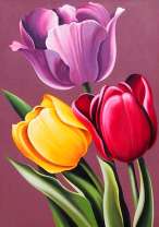 Три разных тюльпана