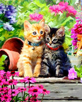 Котята с ошейниками в саду