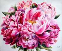 Розовые пионы крупным планом