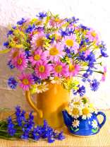 Букетик полевых ромашек