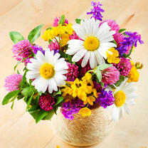 Букетик из нежных полевых цветочков