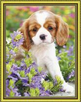 Милый щеночек на весенней полянке