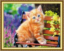 Рыжиё котёнок на маленькой скамейке